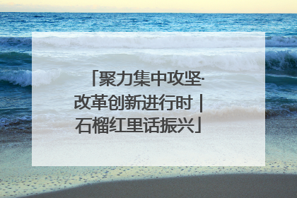 聚力集中攻坚·改革创新进行时｜石榴红里话振兴