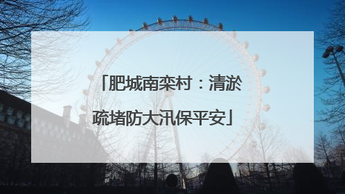 肥城南栾村：清淤疏堵防大汛保平安