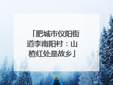 肥城市仪阳街道李南阳村：山楂红处是故乡