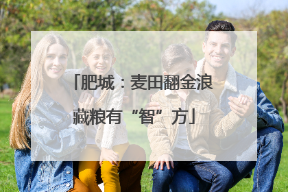 肥城：麦田翻金浪藏粮有“智”方