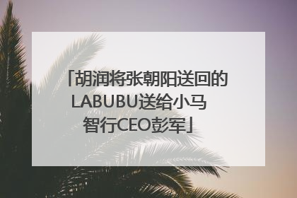 胡润将张朝阳送回的LABUBU送给小马智行CEO彭军