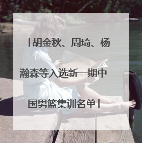 胡金秋、周琦、杨瀚森等入选新一期中国男篮集训名单