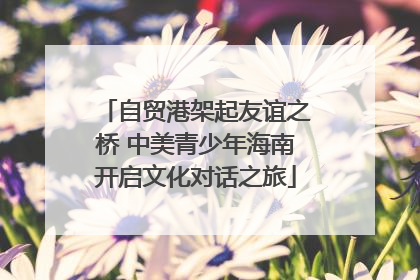 自贸港架起友谊之桥 中美青少年海南开启文化对话之旅