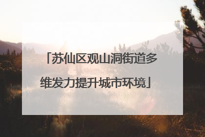 苏仙区观山洞街道多维发力提升城市环境