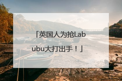 英国人为抢Labubu大打出手！
