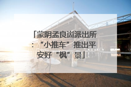 蒙阴孟良崮派出所：“小推车”推出平安好“枫”景