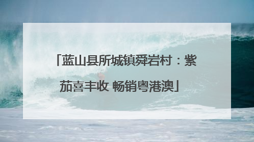 蓝山县所城镇舜岩村：紫茄喜丰收 畅销粤港澳