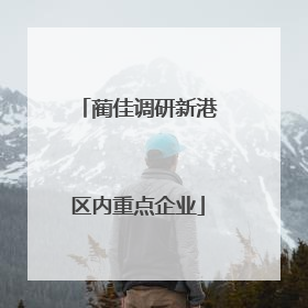 蔺佳调研新港区内重点企业