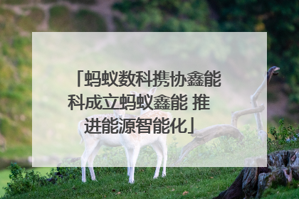 蚂蚁数科携协鑫能科成立蚂蚁鑫能 推进能源智能化