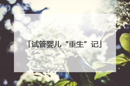 试管婴儿“重生”记