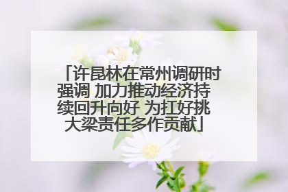 许昆林在常州调研时强调 加力推动经济持续回升向好 为扛好挑大梁责任多作贡献