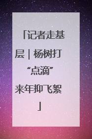 记者走基层｜杨树打“点滴” 来年抑飞絮