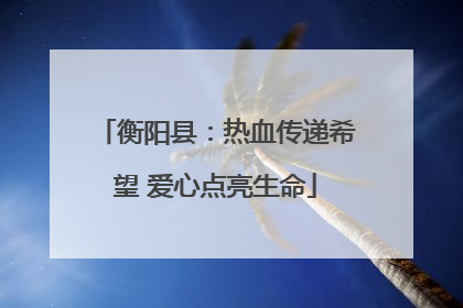 衡阳县：热血传递希望 爱心点亮生命
