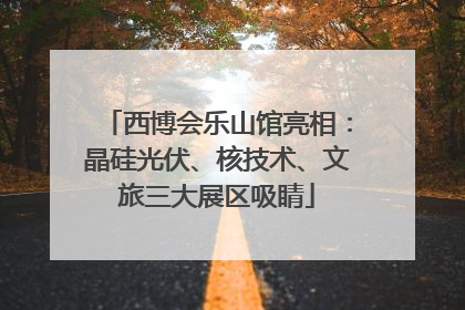 西博会乐山馆亮相：晶硅光伏、核技术、文旅三大展区吸睛