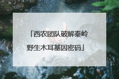 西农团队破解秦岭野生木耳基因密码