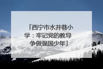 西宁市水井巷小学：牢记党的教导 争做强国少年