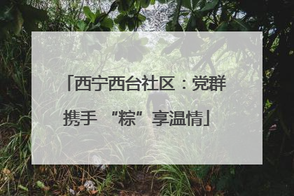 西宁西台社区：党群携手 “粽”享温情