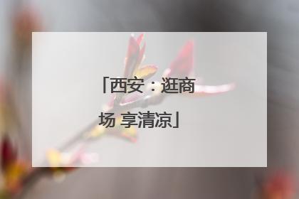 西安：逛商场 享清凉