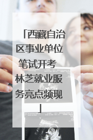 西藏自治区事业单位笔试开考 林芝就业服务亮点频现