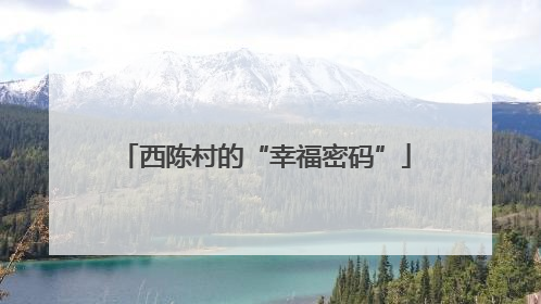 西陈村的“幸福密码”