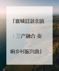 襄城县湛北镇：三产融合 奏响乡村振兴曲