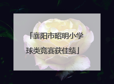 襄阳市昭明小学球类竞赛获佳绩
