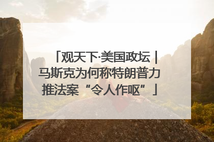 观天下·美国政坛｜马斯克为何称特朗普力推法案“令人作呕”