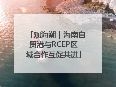 观海潮｜海南自贸港与RCEP区域合作互促共进