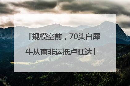规模空前，70头白犀牛从南非运抵卢旺达