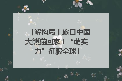 解构局丨旅日中国大熊猫回家！“萌实力”征服全球