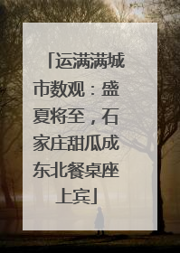 运满满城市数观：盛夏将至，石家庄甜瓜成东北餐桌座上宾