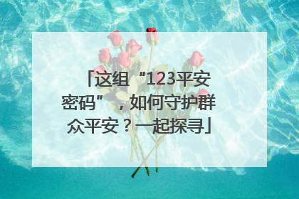 这组“123平安密码”，如何守护群众平安？一起探寻