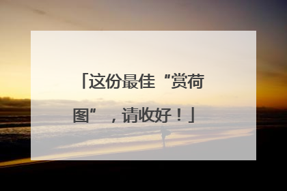 这份最佳“赏荷图”，请收好！