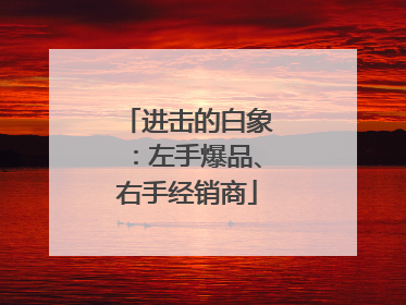 进击的白象：左手爆品、右手经销商