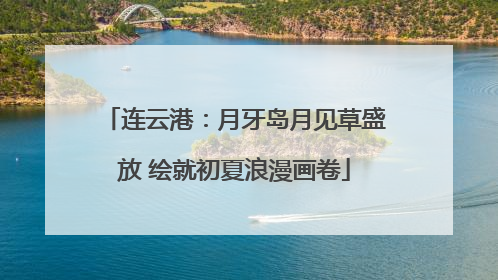 连云港：月牙岛月见草盛放 绘就初夏浪漫画卷