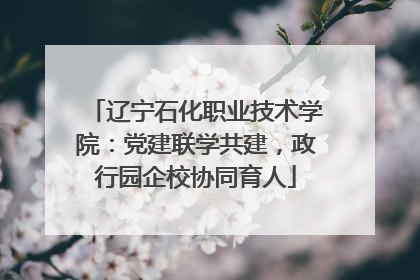 辽宁石化职业技术学院：党建联学共建，政行园企校协同育人