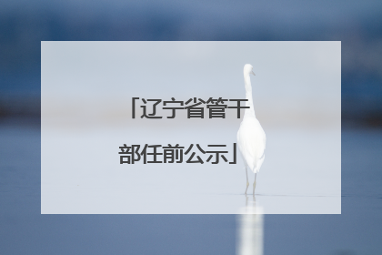 辽宁省管干部任前公示