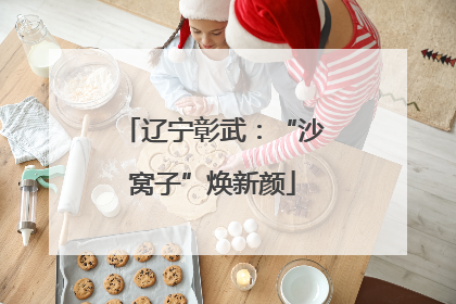 辽宁彰武：“沙窝子”焕新颜