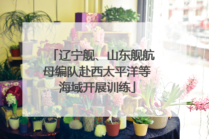 辽宁舰、山东舰航母编队赴西太平洋等海域开展训练