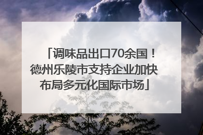 调味品出口70余国!德州乐陵市支持企业加快布局多元化国际市场