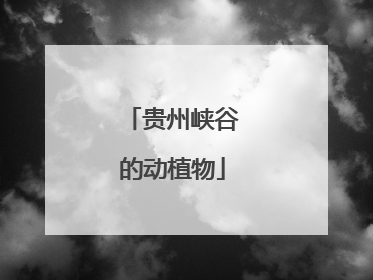 贵州峡谷的动植物