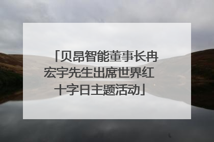贝昂智能董事长冉宏宇先生出席世界红十字日主题活动