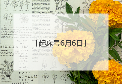 起床号6月6日