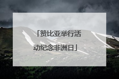 赞比亚举行活动纪念非洲日