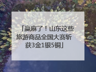 赢麻了！山东这些旅游商品全国大赛斩获3金1银5铜