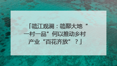赣江观澜：赣鄱大地“一村一品”何以推动乡村产业“百花齐放”？