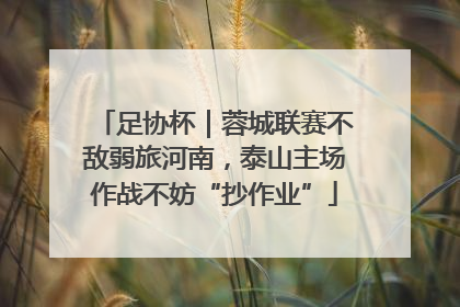 足协杯｜蓉城联赛不敌弱旅河南，泰山主场作战不妨“抄作业”