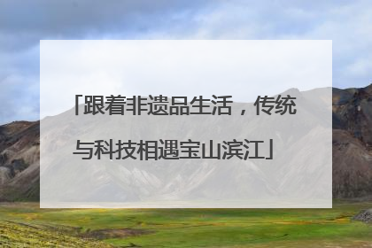 跟着非遗品生活，传统与科技相遇宝山滨江