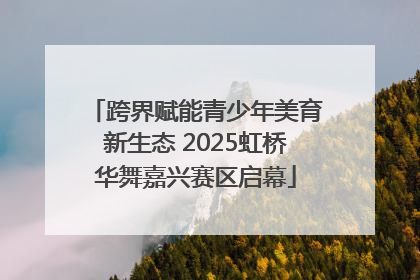 跨界赋能青少年美育新生态 2025虹桥华舞嘉兴赛区启幕