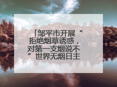 邹平市开展“拒绝烟草诱惑，对第一支烟说不”世界无烟日主题宣传活动